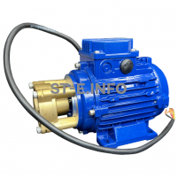 Двигатель + помпа для блока жидкостного охлаждения 3510В с выходящим валом - st-e.info - Челябинск